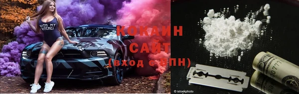 индика Арсеньев