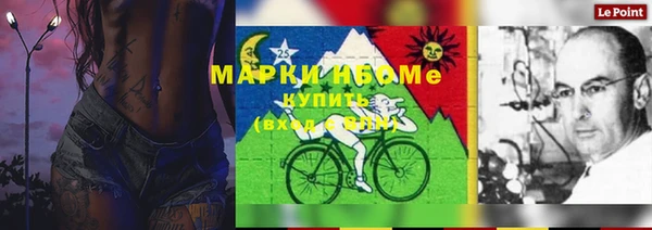 индика Арсеньев
