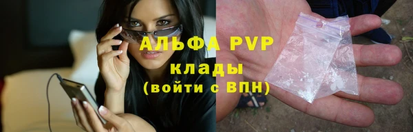 индика Арсеньев