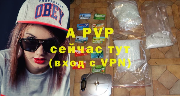 индика Арсеньев