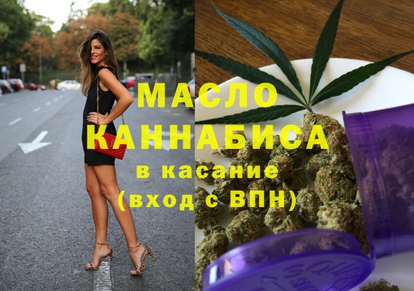индика Арсеньев