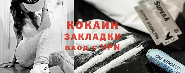 индика Арсеньев